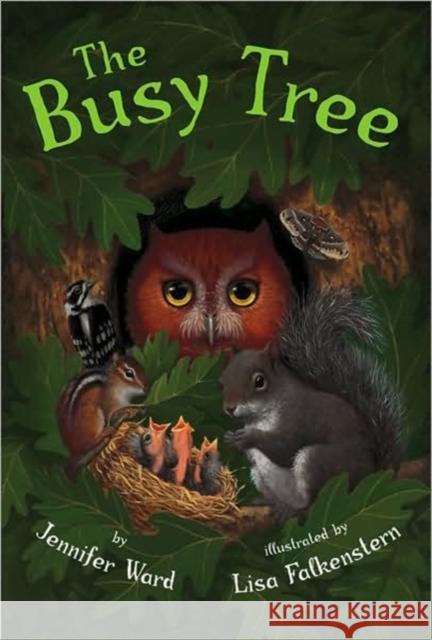 The Busy Tree Jennifer Ward Lisa Falkenstern 9780761455509 Amazon Publishing - książka