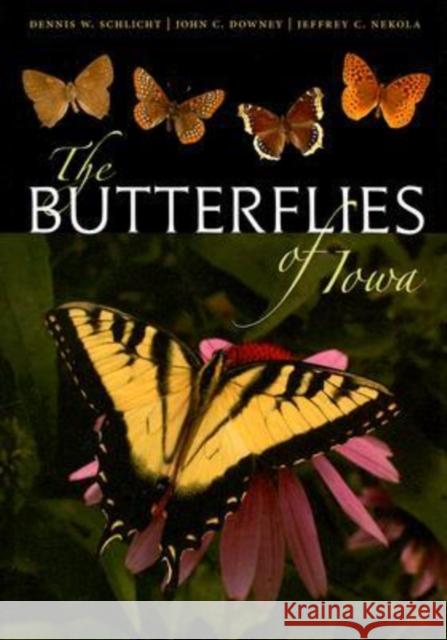 The Butterflies of Iowa Dennis W. Schlicht John C. Downey Jeffrey C. Nekola 9781587295331 University of Iowa Press - książka