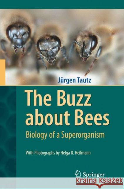 The Buzz about Bees: Biology of a Superorganism Tautz, Jürgen 9783540787273  - książka