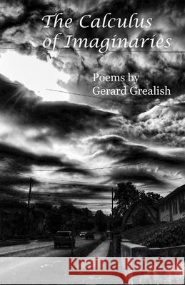 The Calculus of Imaginaries Gerard Grealish 9781630450762 NYQ Books - książka