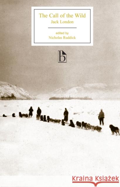The Call of the Wild Jack London 9781551118444  - książka