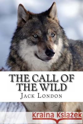 The Call of the Wild Jack London 9781613823491 Simon & Brown - książka