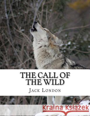 The Call of the Wild Jack London 9781979241939 Createspace Independent Publishing Platform - książka