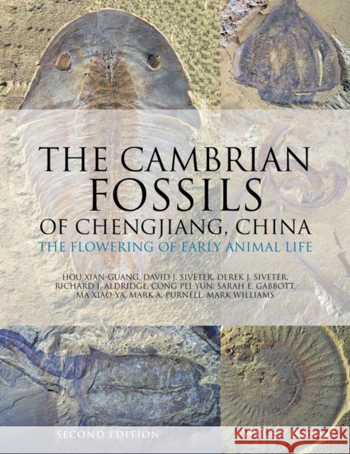 The Cambrian Fossils of Chengjiang, China: The Flowering of Early Animal Life Hou, Xian–guang; Aldridge, Richard; Cong, Peiyun 9781118896389 John Wiley & Sons - książka