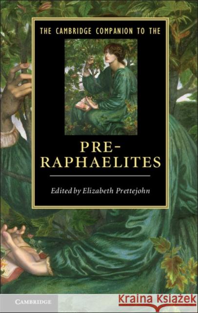 The Cambridge Companion to the Pre-Raphaelites Elizabeth Prettejohn 9780521895156 Cambridge University Press - książka