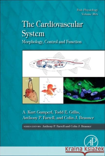 The Cardiovascular System: Morphology, Control and Function Volume 36a Gamperl, Kurt A. 9780128041635 Academic Press - książka