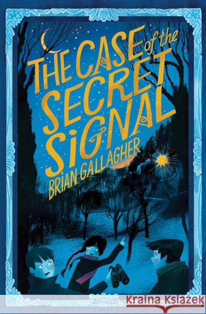 The Case of the Secret Signal Brian Gallagher 9781788495219 O'Brien Press - książka