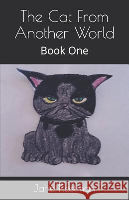 The Cat from Another World: Book One Jane Sarah Kostman 9781792728099 Independently Published - książka