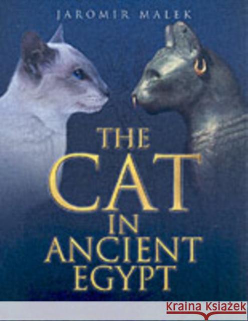 The Cat in Ancient Egypt Jaromir Malek 9780714119700 BRITISH MUSEUM PRESS - książka