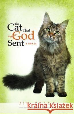 The Cat That God Sent Kraus, Jim 9781426765612 Abingdon Press - książka