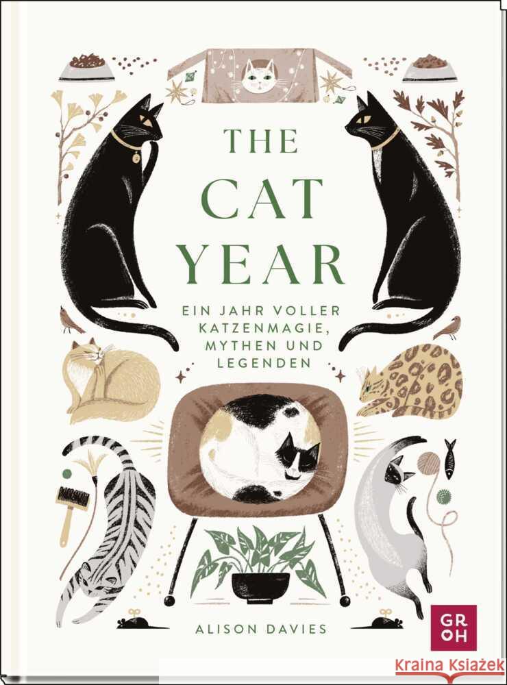 The Cat Year Davies, Alison 9783848503681 Groh Verlag - książka