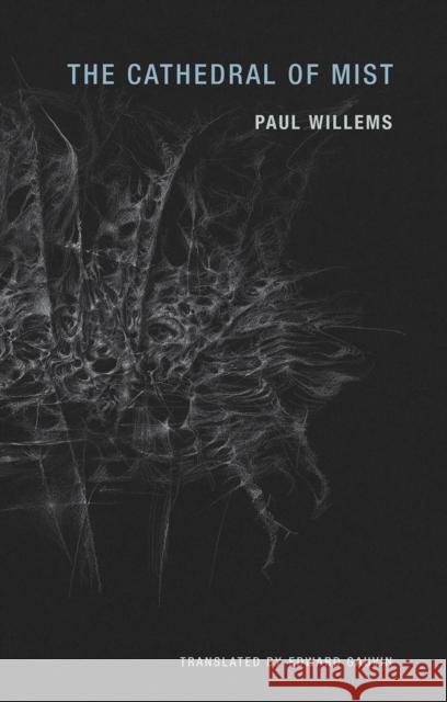 The Cathedral of Mist Paul Willems Bette Burgoyne Edward Gauvin 9781939663184 Wakefield Press - książka