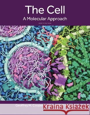 The Cell: A Molecular Approach Cooper, Geoffrey 9780197583722 Oxford University Press, USA - książka