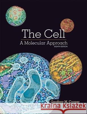 The Cell: A Molecular Approach Geoffrey Cooper 9781605357072 Sinauer Associates Is an Imprint of Oxford Un - książka