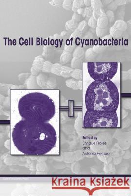 The Cell Biology of Cyanobacteria Antonia Herrero Enrique Flores 9781908230386 Caister Academic Press - książka