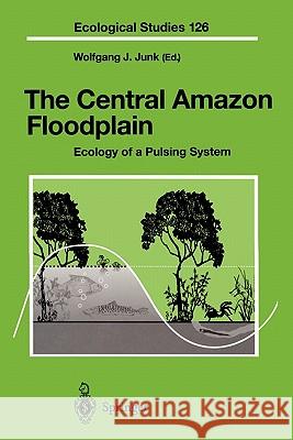 The Central Amazon Floodplain: Ecology of a Pulsing System Junk, Wolfgang J. 9783642082146 Springer - książka