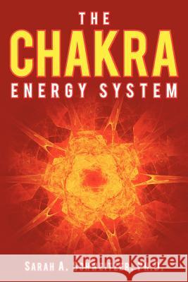 The Chakra Energy System Sarah A. Schweitze 9781468564136 Authorhouse - książka