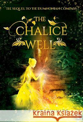 The Chalice Well S B Postlewhite   9781922993649 Shawline Publishing Group - książka