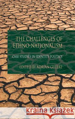 The Challenges of Ethno-Nationalism: Case Studies in Identity Politics Guelke, A. 9780230224100 PALGRAVE - książka