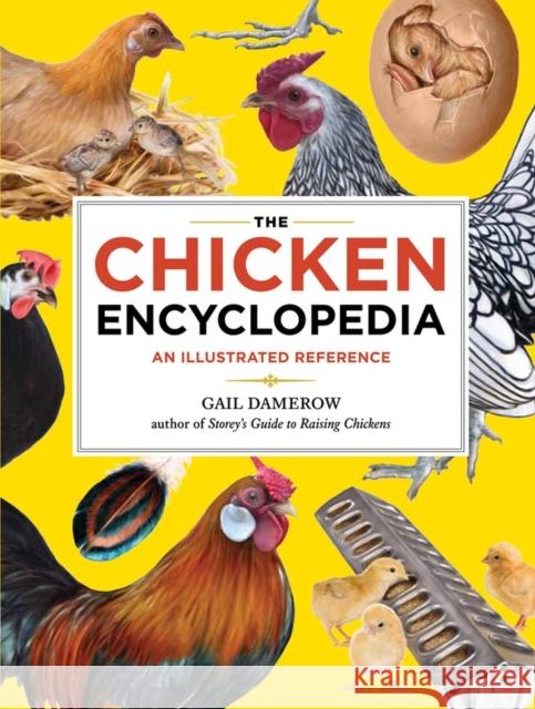 The Chicken Encyclopedia: An Illustrated Reference Damerow, Gail 9781603425612 Storey Publishing - książka