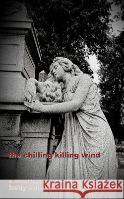 The Chilling Killing Wind Kelly C. Sedinger 9781978109520 Createspace Independent Publishing Platform - książka