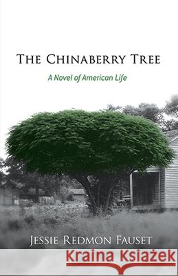 The Chinaberry Tree: A Novel of American Life Fauset, Jessie Redmon 9780486493220 Dover Publications - książka