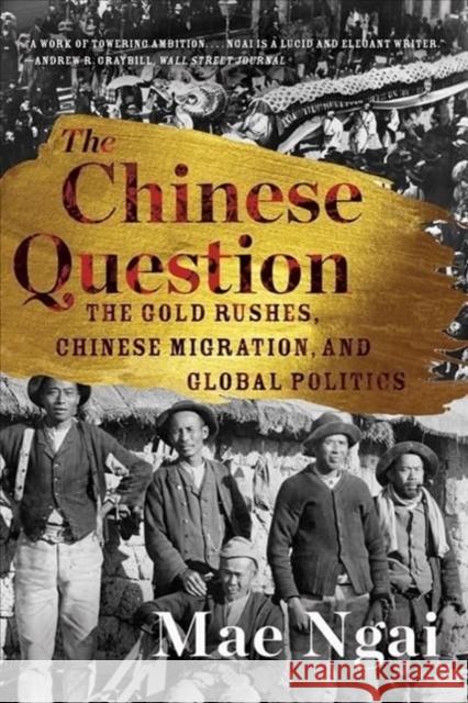 The Chinese Question: The Gold Rushes, Chinese Migration, and Global Politics Mae Ngai 9781324036104 W. W. Norton & Company - książka