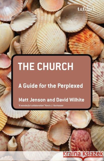 The Church : A Guide for the Perplexed Matt Jenson 9780567033376  - książka