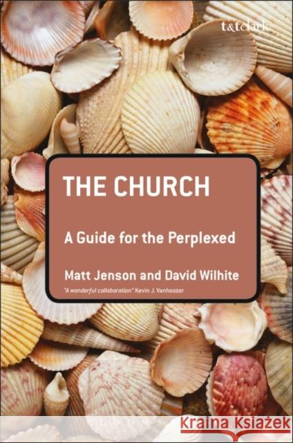 The Church: A Guide for the Perplexed Jenson, Matt 9780567033369 T & T Clark International - książka