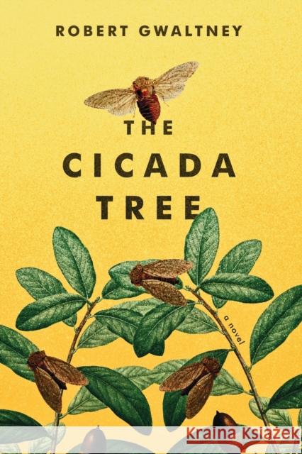 The Cicada Tree Robert Gwaltney 9781952439247 Moonshine Cove Publishing, LLC - książka