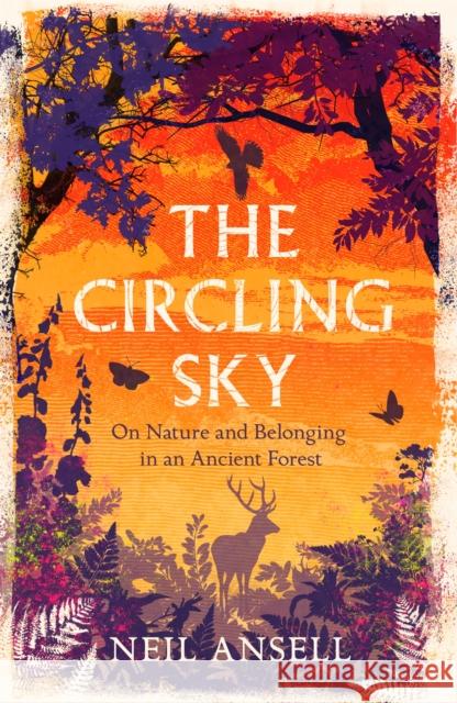 The Circling Sky: On Nature and Belonging in an Ancient Forest Neil Ansell 9781472272379 Headline Publishing Group - książka