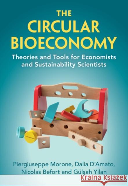 The Circular Bioeconomy: Theories and Tools for Economists and Sustainability Scientists Dalia D'Amato, Gülşah Yilan, Nicolas Befort 9781009232555 Cambridge University Press (RJ) - książka