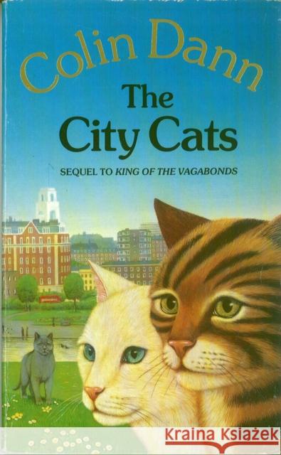 The City Cats Colin Dann 9781849415323 Penguin Random House Children's UK - książka