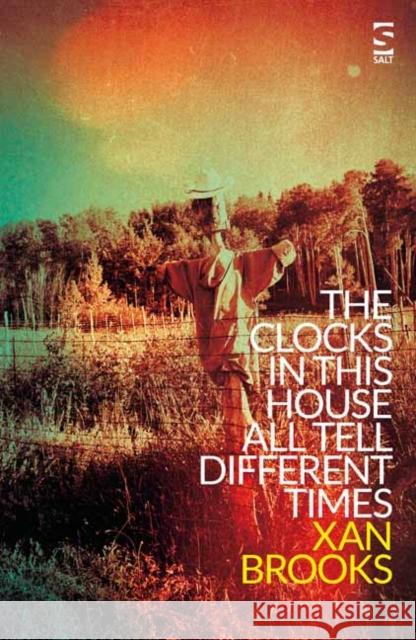 The Clocks in This House All Tell Different Times Xan Brooks 9781784630935 Salt Publishing - książka