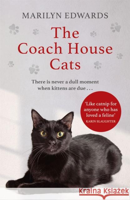 The Coach House Cats Marilyn Edwards 9781529373493 Hodder & Stoughton - książka