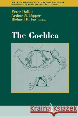 The Cochlea Peter Dallos Richard R. Fay 9781461268918 Springer - książka