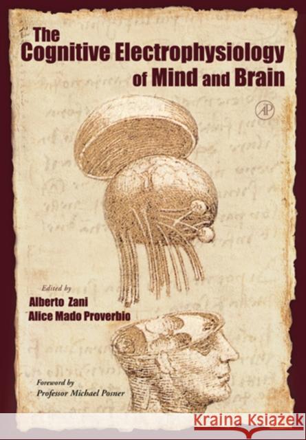 The Cognitive Electrophysiology of Mind and Brain Alica Mado Proverbio Alberto Zani Alice Proverbio 9780127754215 Academic Press - książka