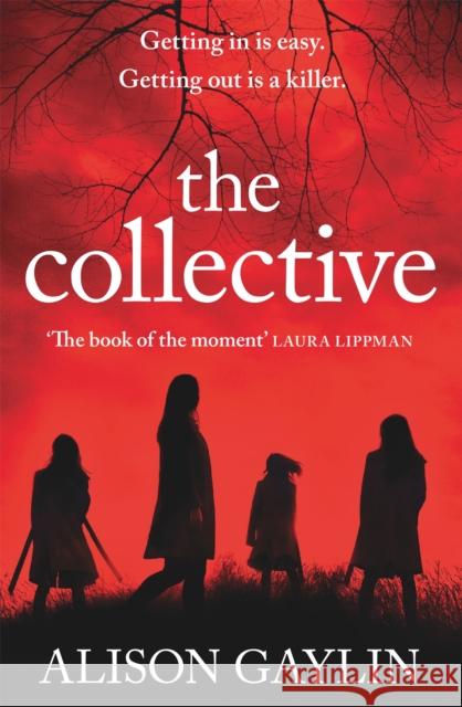 The Collective Alison Gaylin 9781409179078 Orion Publishing Co - książka