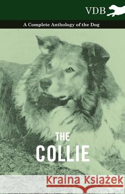 The Collie - A Complete Anthology of the Dog - Various 9781445525884 Vintage Dog Books - książka