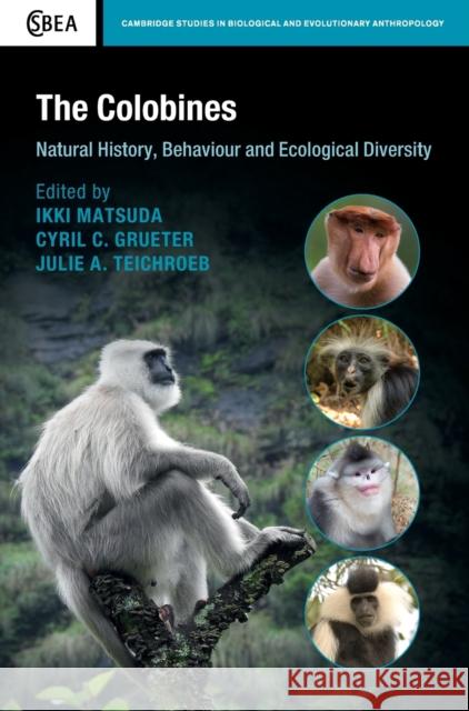 The Colobines: Natural History, Behaviour and Ecological Diversity Ikki Matsuda Cyril C. Grueter Julie A. Teichroeb 9781108421386 Cambridge University Press - książka