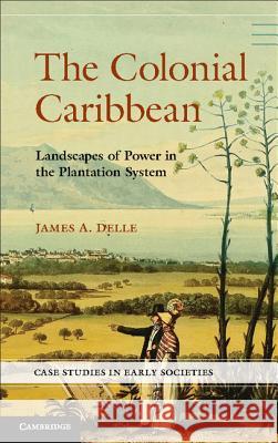 The Colonial Caribbean: Landscapes of Power in Jamaica's Plantation System Delle, James A. 9780521767705 Cambridge University Press - książka