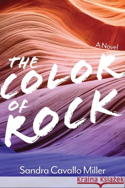 The Color of Rock, Volume 1 Cavallo Miller, Sandra 9781948908467 University of Nevada Press - książka