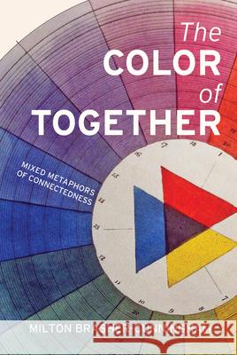 The Color of Together Milton Brasher-Cunningham 9781611532708 Light Messages - książka