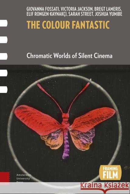 The Colour Fantastic: Chromatic Worlds of Silent Cinema Fossati, Giovanna 9789462983014 Amsterdam University Press - książka