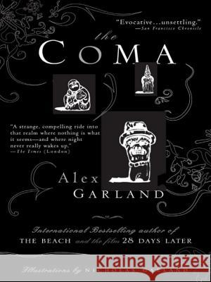 The Coma Alex Garland Nicholas Garland 9781594480850 Riverhead Books - książka