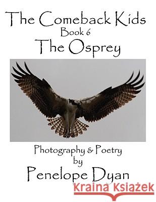 The Comeback Kids, Book 6, the Osprey Penelope Dyan Penelope Dyan 9781935118039 Bellissima Publishing - książka
