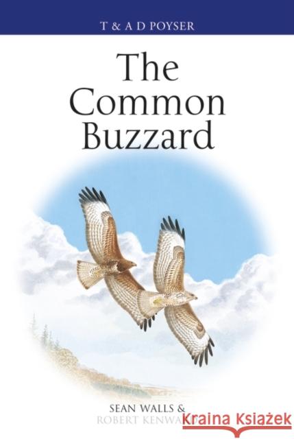 The Common Buzzard Sean Walls Robert Kenward Alan Harris 9781408125250 Bloomsbury Publishing PLC - książka