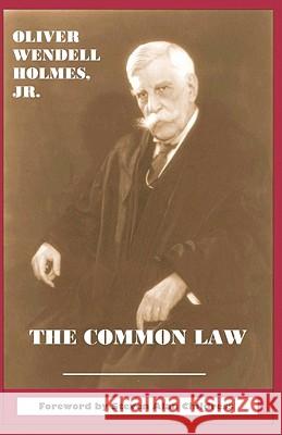 The Common Law Oliver Wendell, Jr. Holmes Steven Alan Childress Steven Alan Childress 9781610270007 Quid Pro, LLC - książka