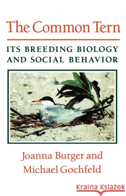 The Common Tern: Its Breeding Biology and Social Behavior Burger, Joanna 9780231075022  - książka