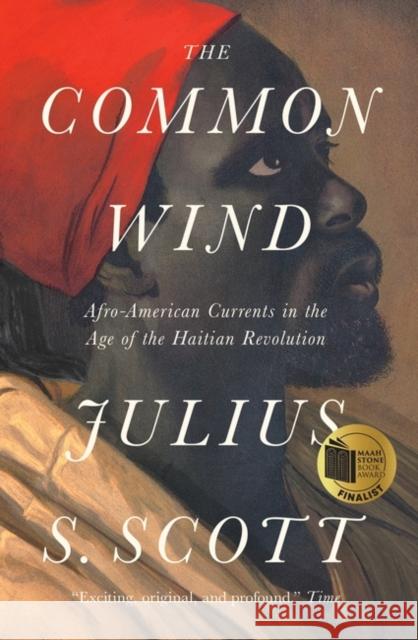 The Common Wind: Afro-American Currents in the Age of the Haitian Revolution Julius S. Scott 9781788732482 Verso Books - książka